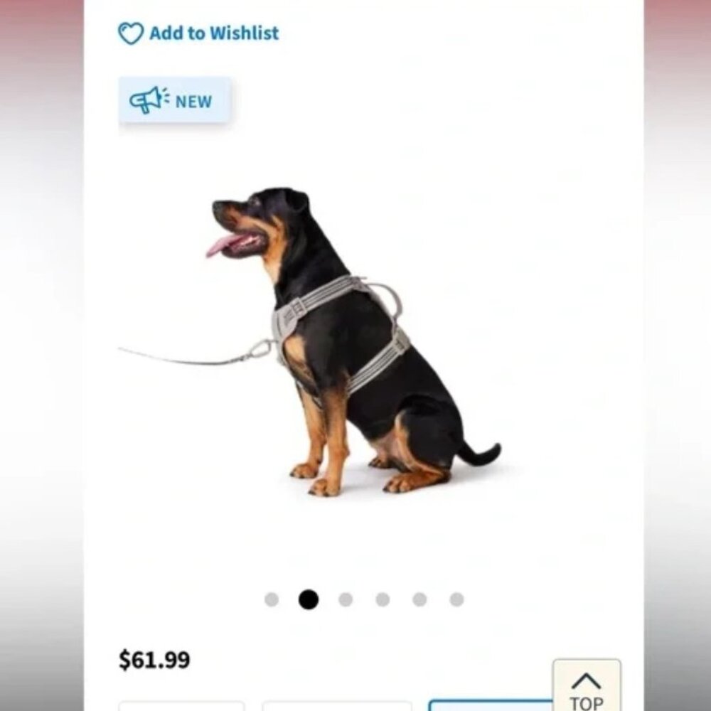 🐾 Bailey & Bella Reflective Cushion Dog Harness